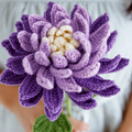 Handmade Crocheted Dahlia