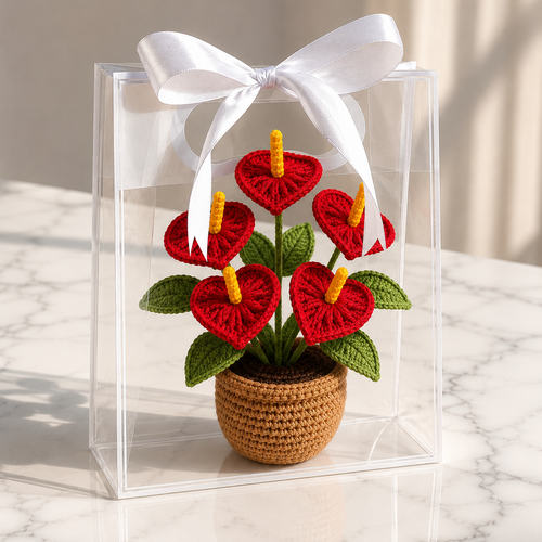 Crocheted anthurium plant in tan woven pot inside clear gift box with white bow