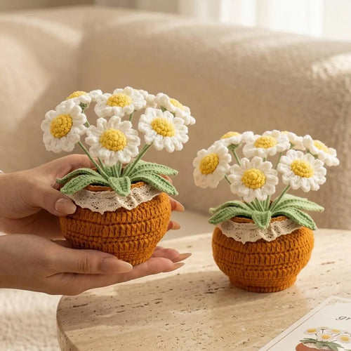 Handmade Crochet Daisies Potted Plant Joy Blooms London