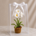 Crocheted white lily plant in brown pot with green leaves, inside clear gift box
