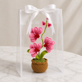 Handmade crochet orchid with pink flowers in clear gift box with white ribbon