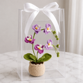 Crocheted purple orchid with green leaves in beige pot, inside clear gift box