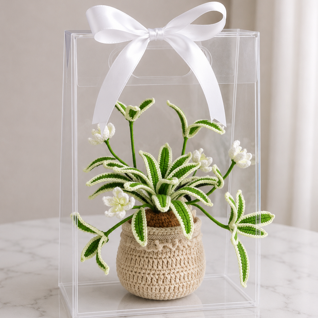 Handmade crochet snake plant in beige yarn pot, in clear gift box with white ribbon