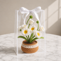 Handmade Crochet White Anemone Windflower Potted Plant Joy Blooms London